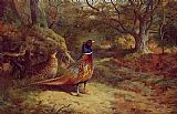 Archibald Thorburn Famous Paintings - On the Alert
